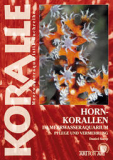Hornkorallen