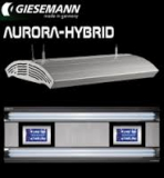 Aurora-Hybrid 600 mm