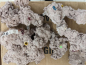 Preview: ArtReef Rock Medium - 5/6kg