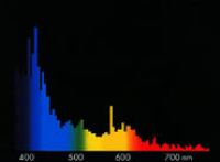 Preview: Megachrome Coral 250 TS