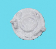 CoraroC coral holder - glue