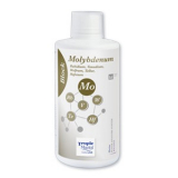 Block Molybdän 1000ml