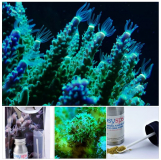 easySPS 20g