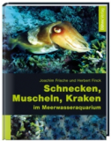 Schnecken, Muscheln, Kraken