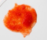 Preview: Fauna Marin Ocean Plankton 100ml