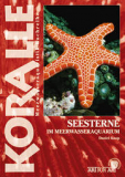 Seesterne