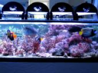 Preview: Lumen Aqua LED Lampe 90 cm