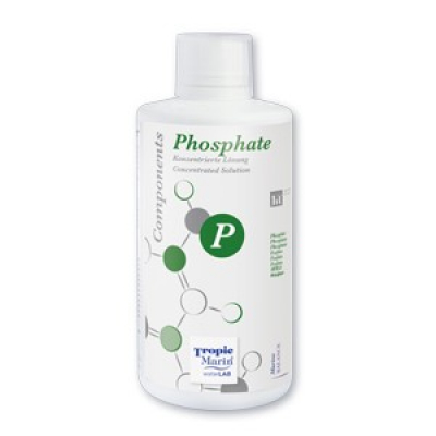 Components Phosphat 500ml