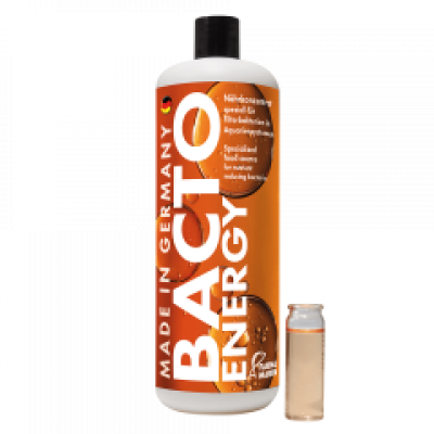 Bacto Energy 100ml