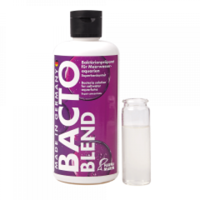 Bacto  Blend 250ml