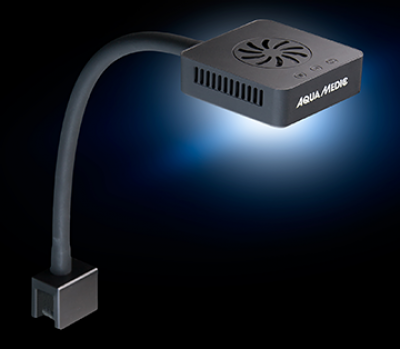 Qube 30