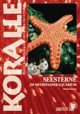 Seesterne